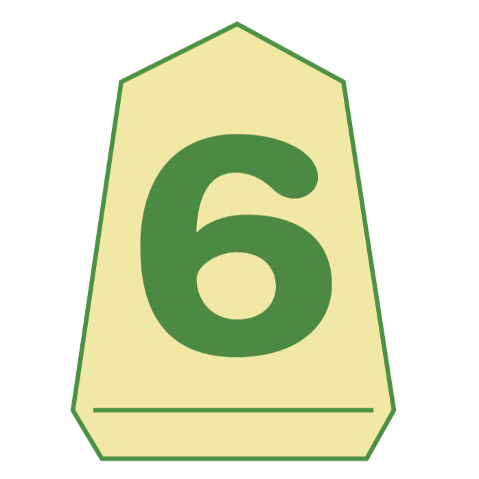 6